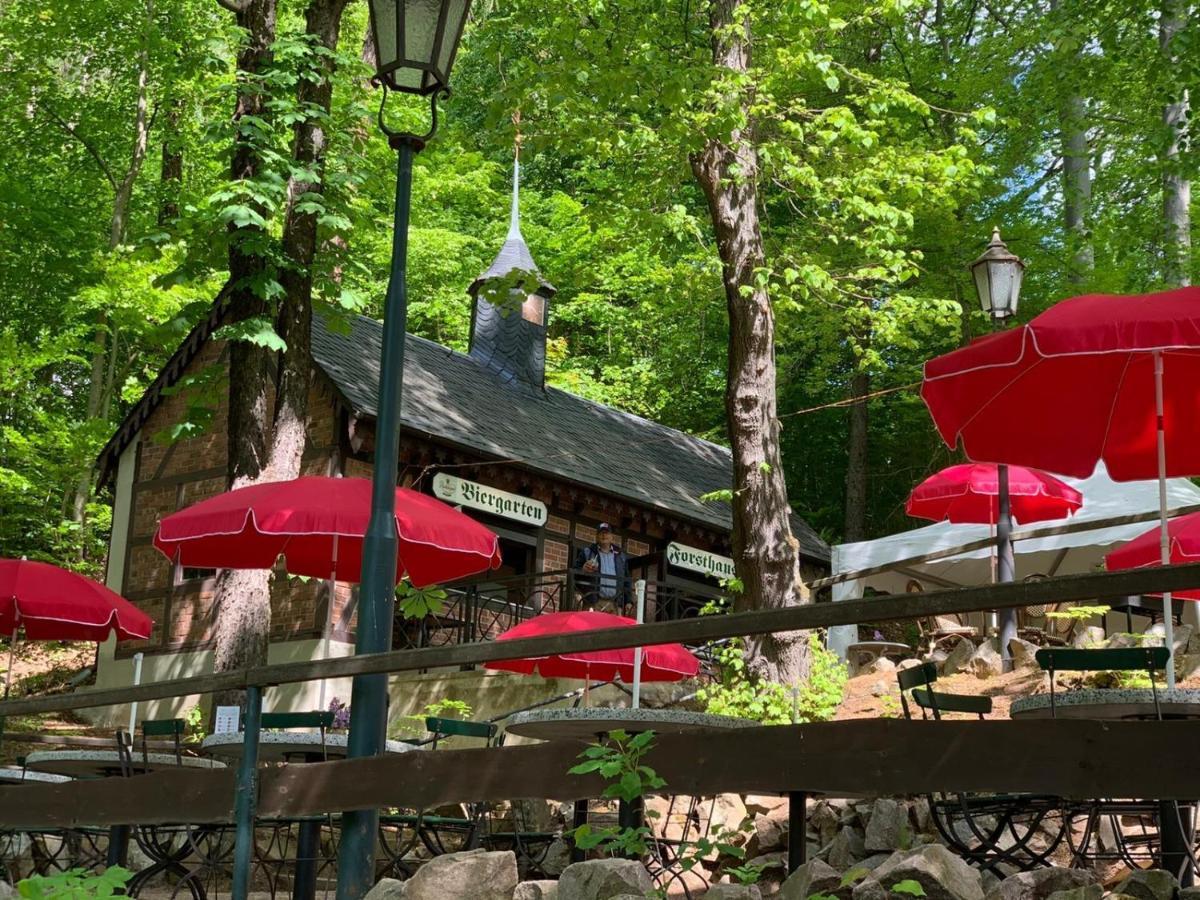 Forsthaus Apartment Crimmitschau Екстериор снимка