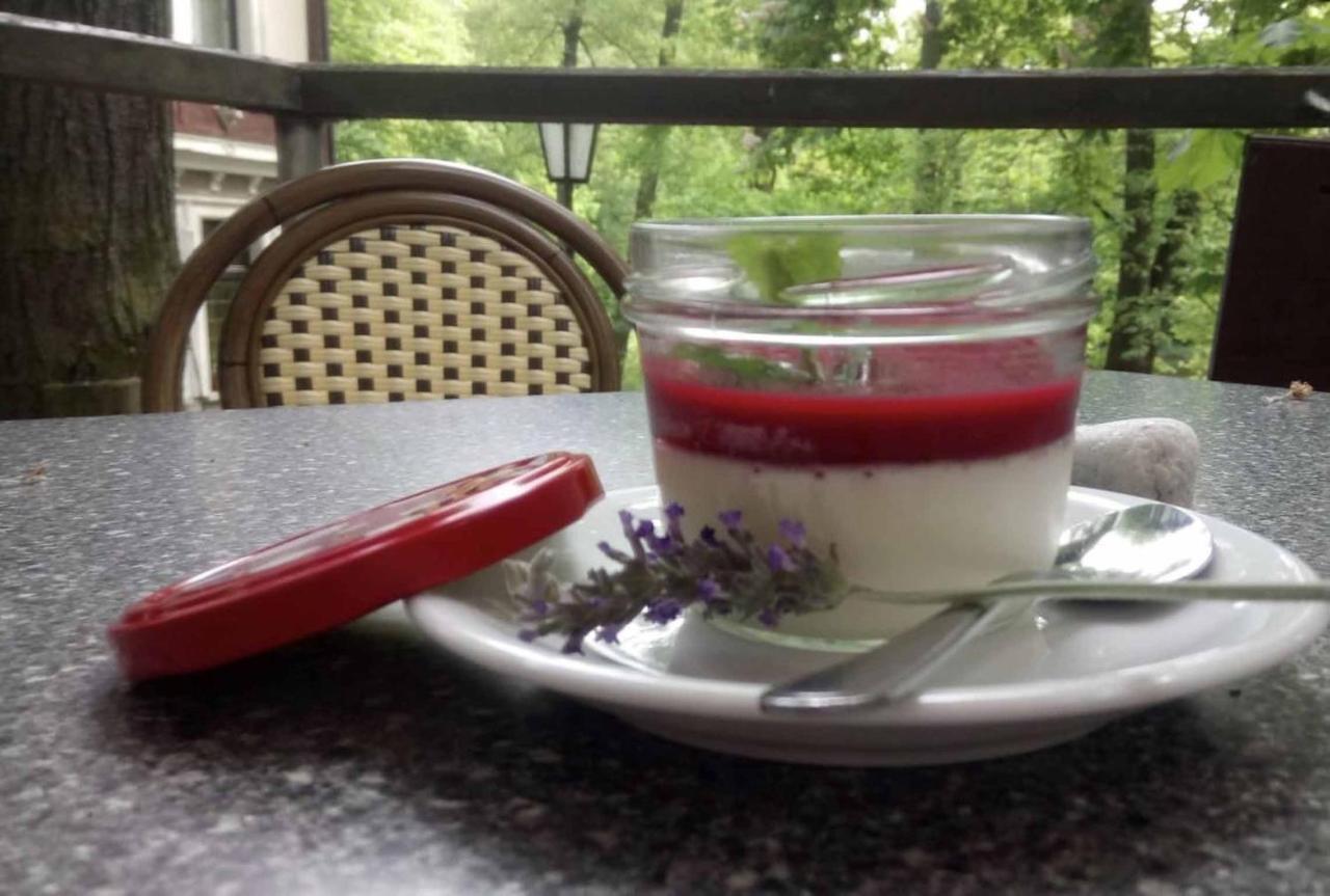 Forsthaus Apartment Crimmitschau Екстериор снимка