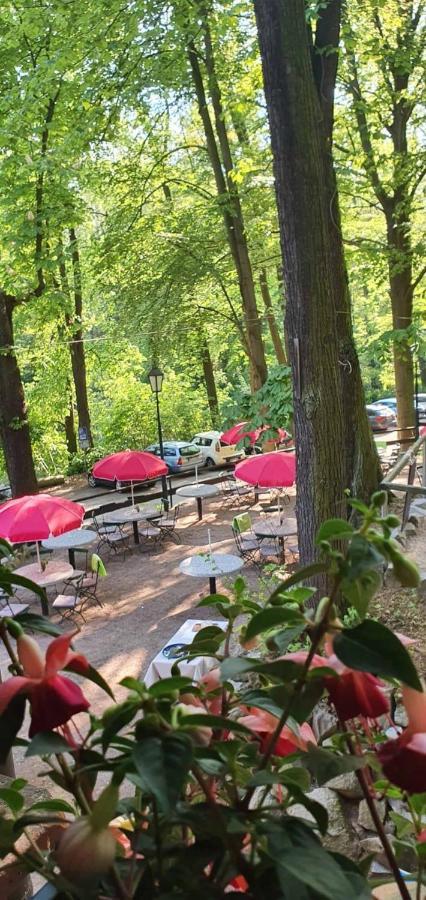 Forsthaus Apartment Crimmitschau Екстериор снимка
