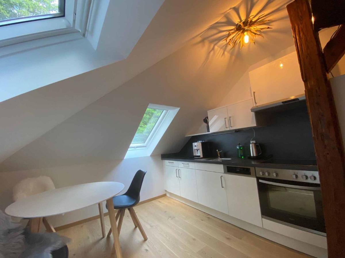 Forsthaus Apartment Crimmitschau Екстериор снимка